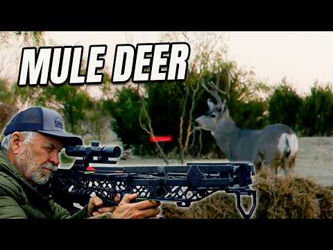 I Smoked a MONSTER Muley with My Crossbow! You Won’t Believe This Shot!