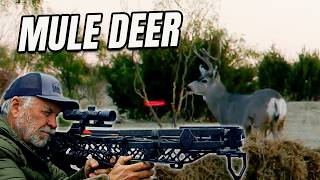 I Smoked a MONSTER Muley with My Crossbow! You Won’t Believe This Shot!