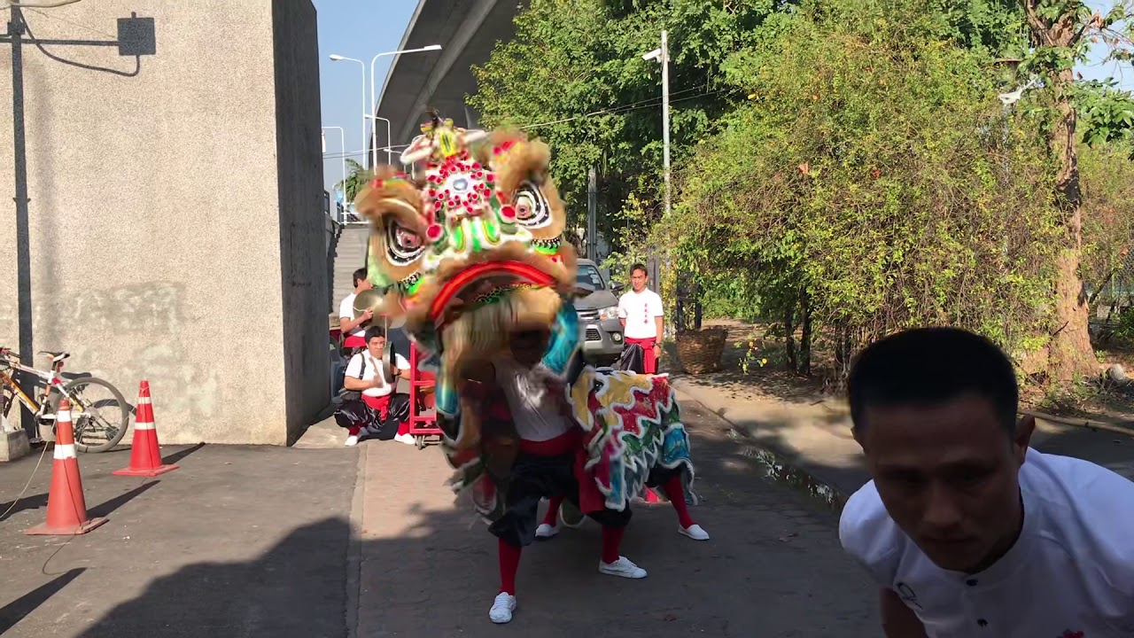 คณะสิงโตลูกพ่อพลายบางทรงฤทธิ์ ทำการแสดงเชิดสิงโตพื้นถวายเจ้าพ่อพระเพลิงสะพานกรุงเทพ