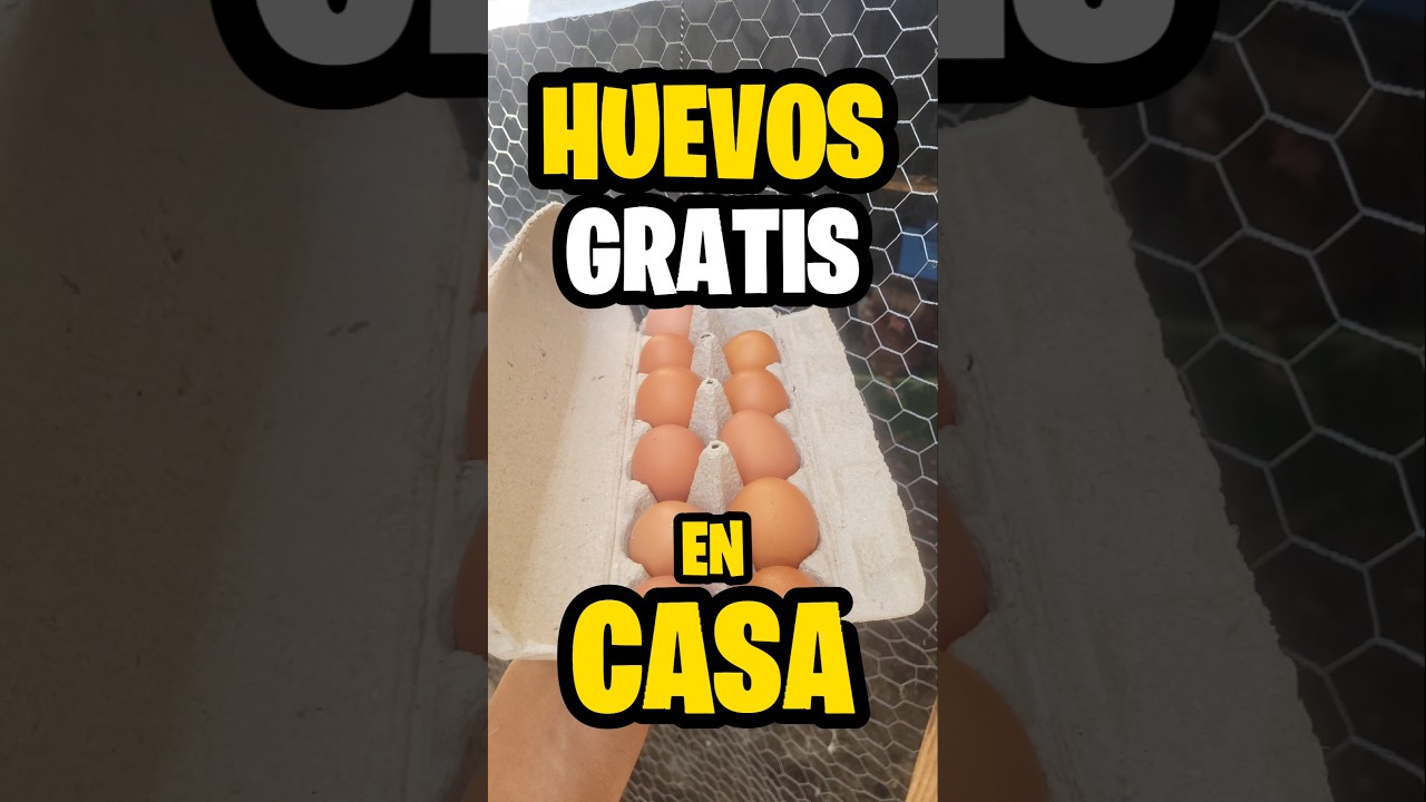 "¡Huevos Gratis en Casa!"🐔 🥚 💰 🌱 
