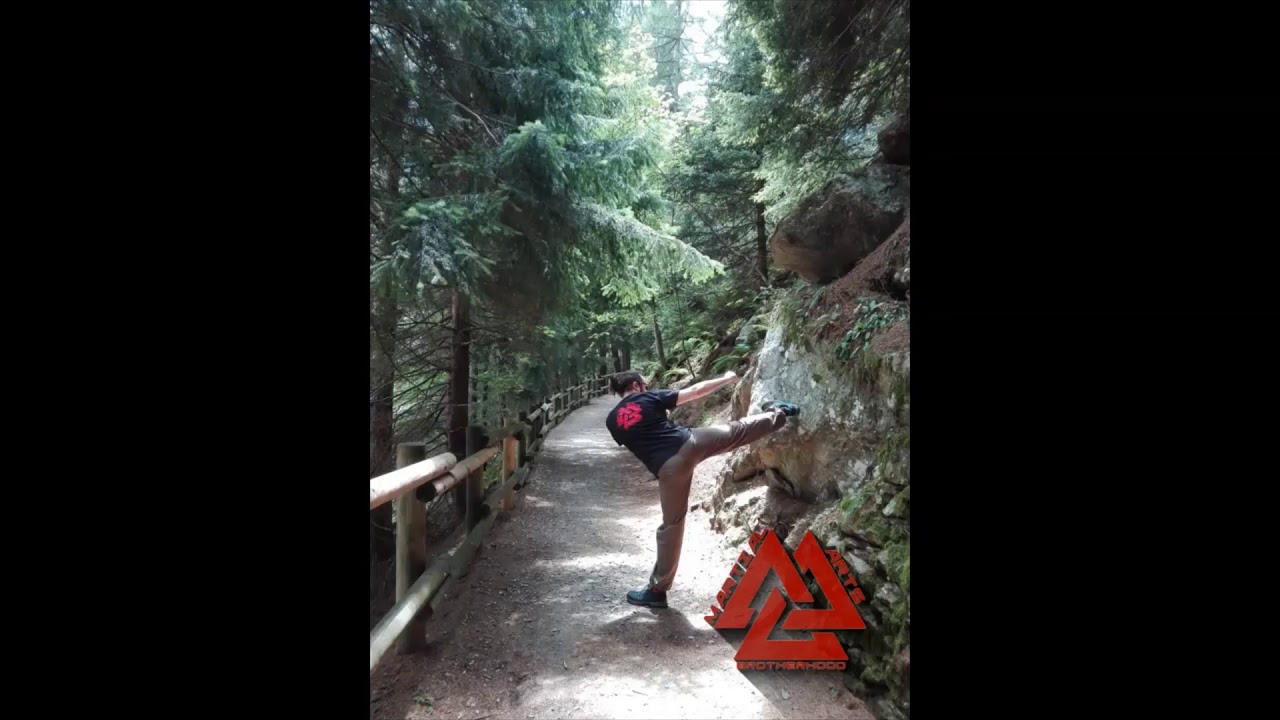 MARTIAL ARTS BROTHERHOOD  - IN THE FOREST