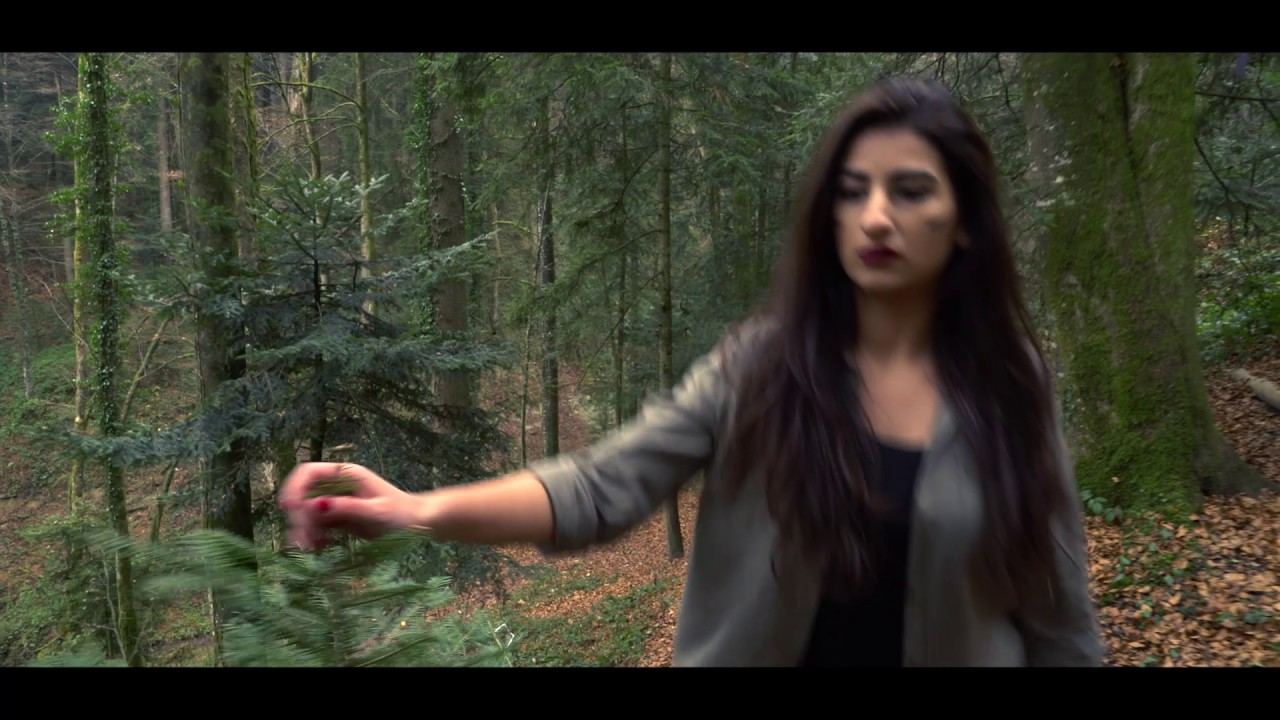 Survival of the fittest - Maturavideo 5DA HAK Bregenz 2016/17 by Flipproduction