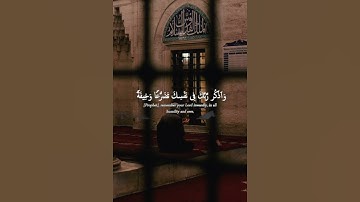 اكتب شيء تؤجر عليه 🖤😌 قران كريم _ ياسر الدوسري