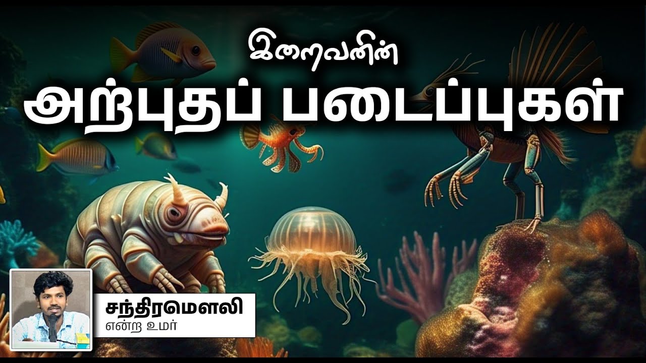 இறைவனின் அற்புதப் படைப்புகள்┇சந்திரமௌலி என்ற உமர்┇20-04-2025┇Way to Paradise