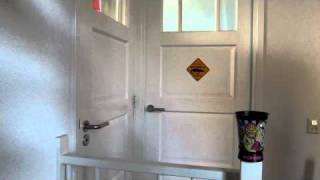 Cuponk Trick Wallbanger