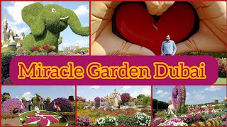 Miracle Garden Dubai||Quran park in Dubai|Exploring Miracle Garden|Mix cooking & vlogs#dubai🇦🇪