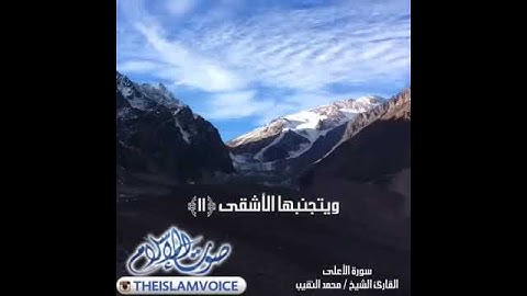 سورة الأعلى \الشيخ القارئ محمد النقيب\