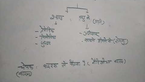 Class 9 Home Science