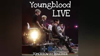 TXT | Youngblood LIVE COVER | Sketchbook KBS 2021(Audio)
