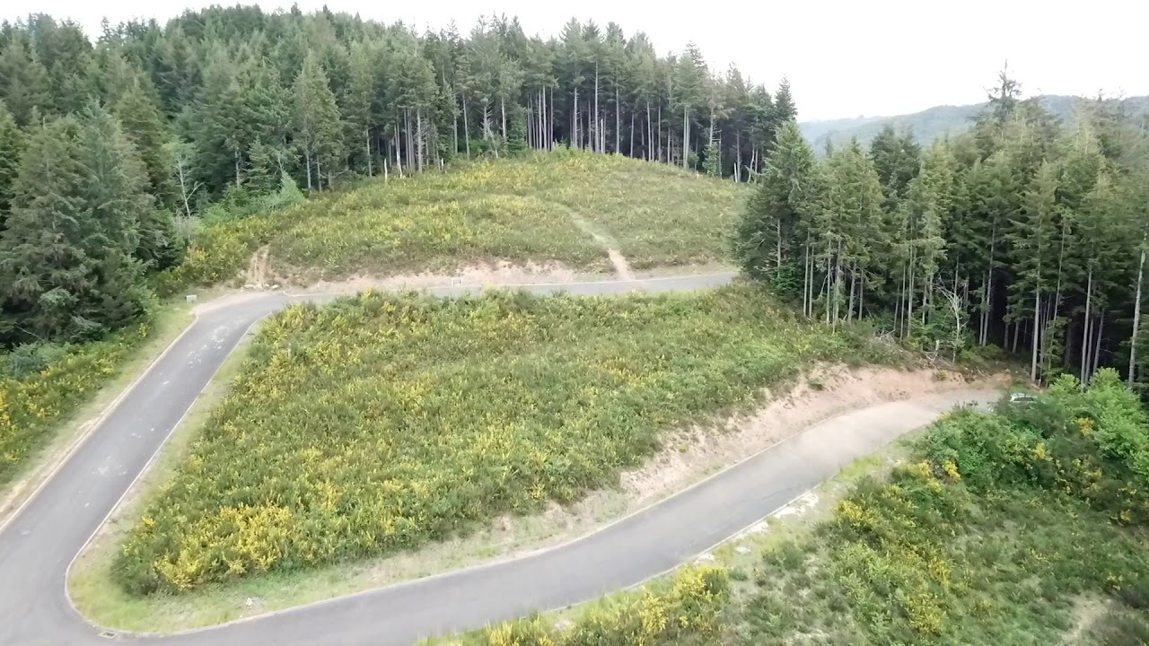 Reedsport Oregon Lots for Sale YouTube