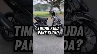 Kenapa Disebut Timing Kuda?