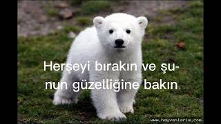 En Güzel Sensin