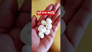 Suryaprabha Samriddhi