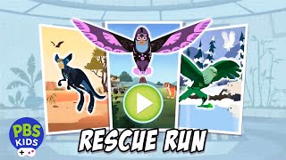 PBS KIDS Games | Wild Kratts Rescue Run Preview 🦘🦈