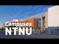 Campuses at ntnu