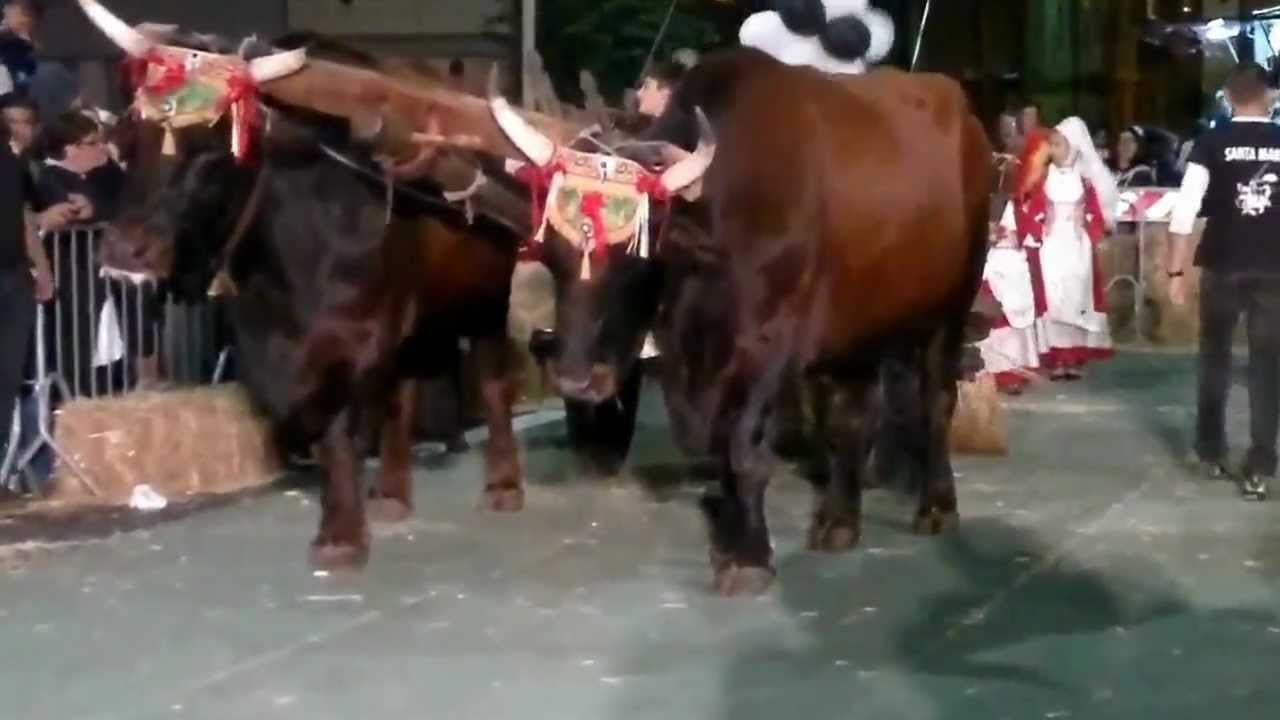 MACOMER  21 LUGLIO 2012 