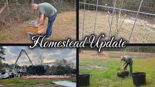 Slowly Turning 3 Acres Into Our Dream Homestead | Progress Update