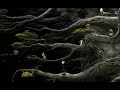 Самая трудная планета самарост 3 3#