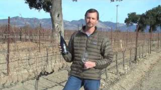 2009 Syrah Tous les Jours - Andrew Murray Vineyards