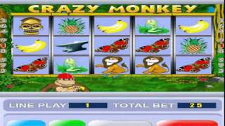 Crazy Monkey slot machine.avi