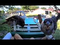 Lots of Feathered Friend Visitors