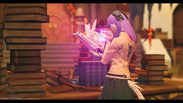 [Clear] PT 1-100 | Solo SCH | FFXIV Pilgrim’s Traverse Scholar | 7.38 | 17 Nov 2025