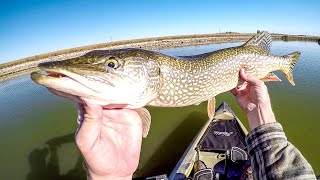 Spinnerbait Pike Fishing by NDYakAngler 73,229 views 5 months ago 15 minutes
