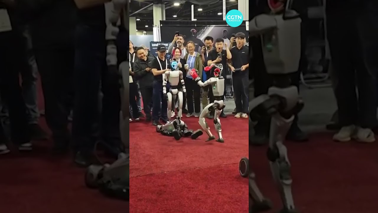 China Hosts First Humanoid Robot Boxing Match