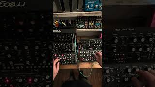 Electro trance jam with the Moog semi modular units. FUN