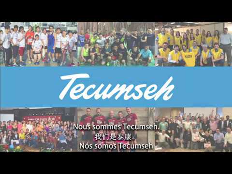 Video: Ինչպե՞ս եք կարգավորում կարբյուրատորը Tecumseh դիֆրագմայի վրա: