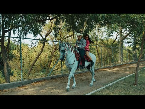 Obejrzyj Las Nietas x El Lobito De Sinaloa - Dile w YouTube Obejrzyj Las Nietas x El Lobito De Sinaloa - Dile w YouTube