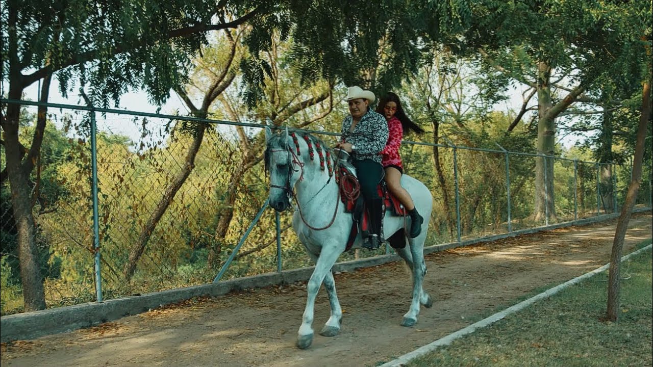 YouTube에서 Las Nietas x El Lobito De Sinaloa - Dile 보기 YouTube에서 Las Nietas x El Lobito De Sinaloa - Dile 보기