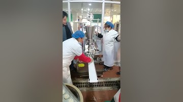 Fully automatic bun machine baozi machine xiaolongbao making machine