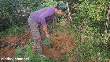 hnub no kuv yuav coj nej mus saib pej khawb qos thiab kaus qos nawb tsoom phooj ywg txhua tus