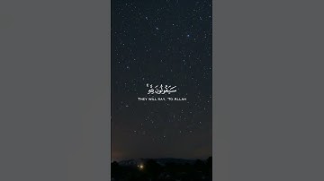 القارئ رعد الكردي - قُلْ لِمَنِ الْأَرْضُ وَمَنْ فِيهَا | مقاطع قرآن قصيرة وحالات واتس إسلامية 🌱