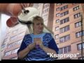 ИНовости "Квартира", "Тигролет", "Бди!"