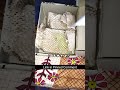 Nykaa Rs9 Loot Unboxing 😱 | 5 Soaps Only ₹9 💥 NYKAA ₹9 DEAL UNBOXING 🔥 | Cheapest Shopping Trick |