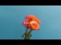 The Summer Set - "FTS feat. Travie McCoy" Official Audio