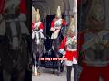 Marching out for the Changing Guards #london #horse #kingsguard #tourist #shorts