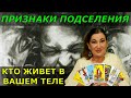 Признаки подселения | Как понять что в вас Сущность | Сущности важно выгнать