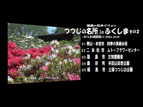つつじの名所inふくしま その２ ～福島の花めぐりより  Ｖｅｒ.  4Ｋ～