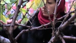 Падение и прозрение. Пленницы страстей. Падение и прозрение. Пленницы страстей.