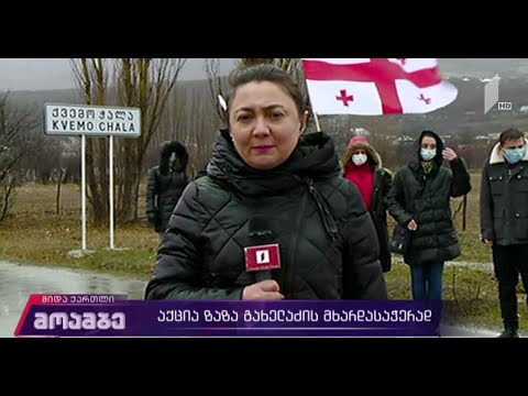 აქცია ზაზა გახელაძის მხარდასაჭერად