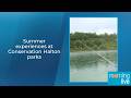 Summer experiences at Conservation Halton parks