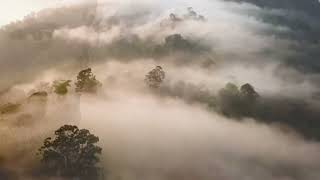 Ali Altay Turan & Aydın Eşgi / Unut Beni