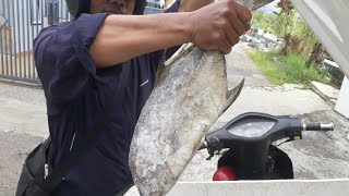 Suara penjual ikan keliling