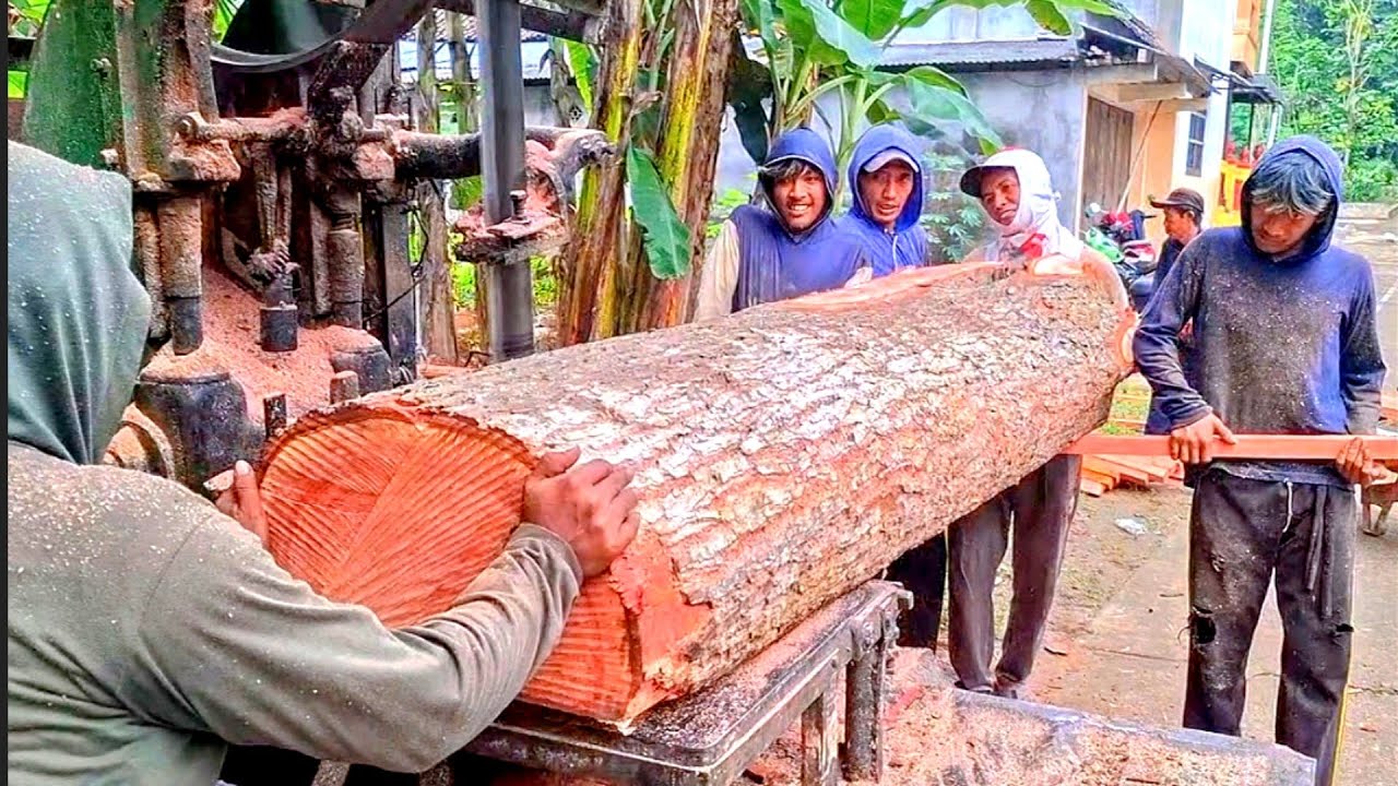 SUPER BESAR !! Menggergaji kayu mahoni - mesin bandsaw rakitan