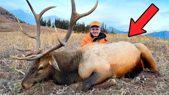 I Finally Killed My an Elk!