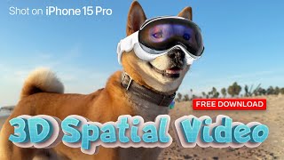 Apple Spatial Video Real-World 3D Footage | Shot on iPhone 15 Pro Max (FREE download for Vision Pro)