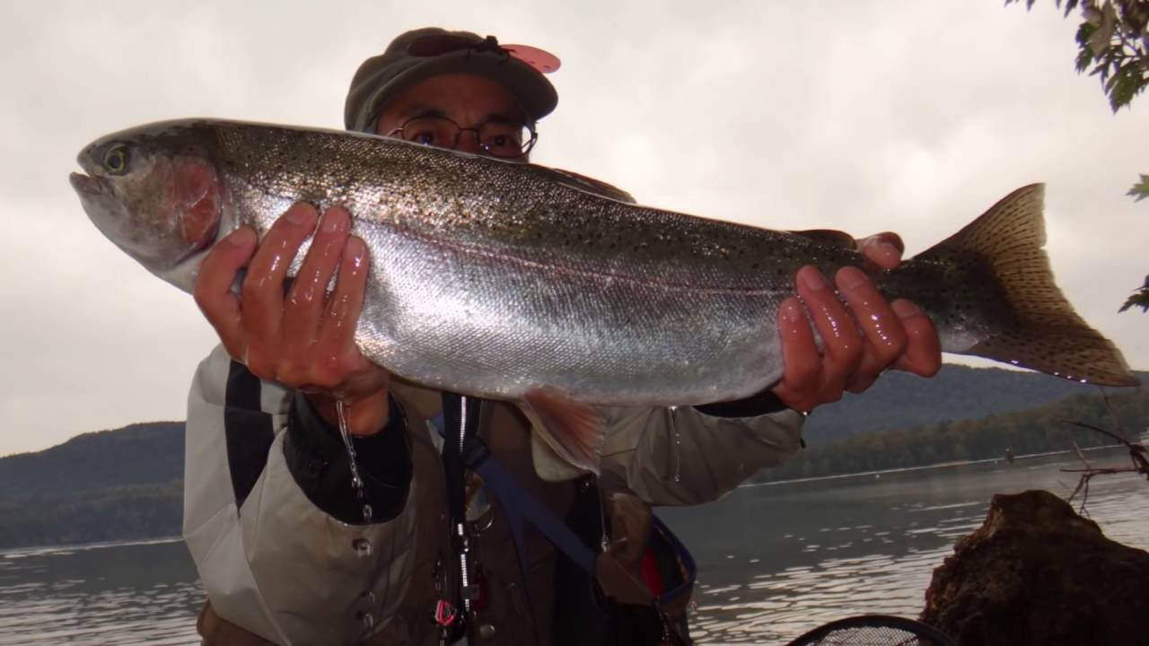中通しセコ釣り竿 テンフラロッド釣行記 釣具商 安藤商会
